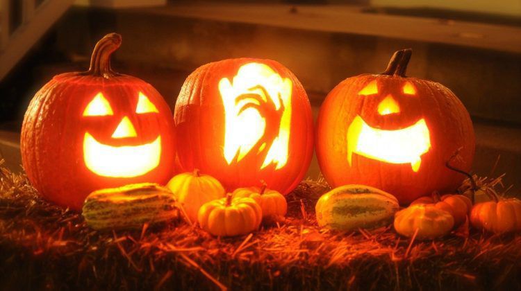 carved pumpkins